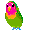 vogel-papagei-030